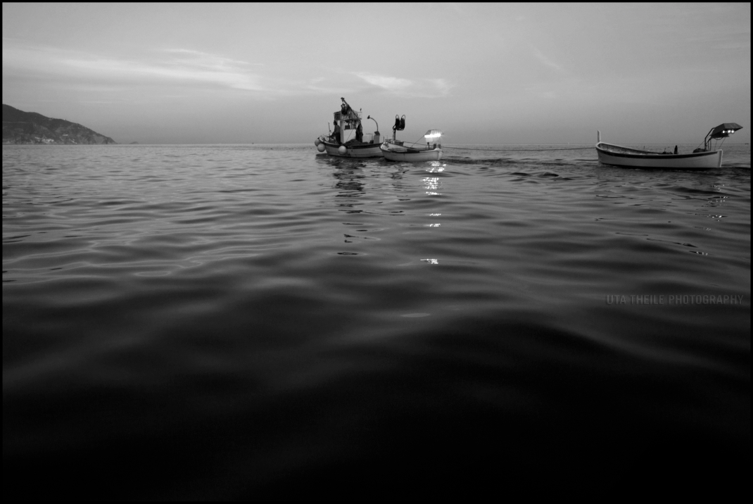 La pesca nelle Cinque Terre II