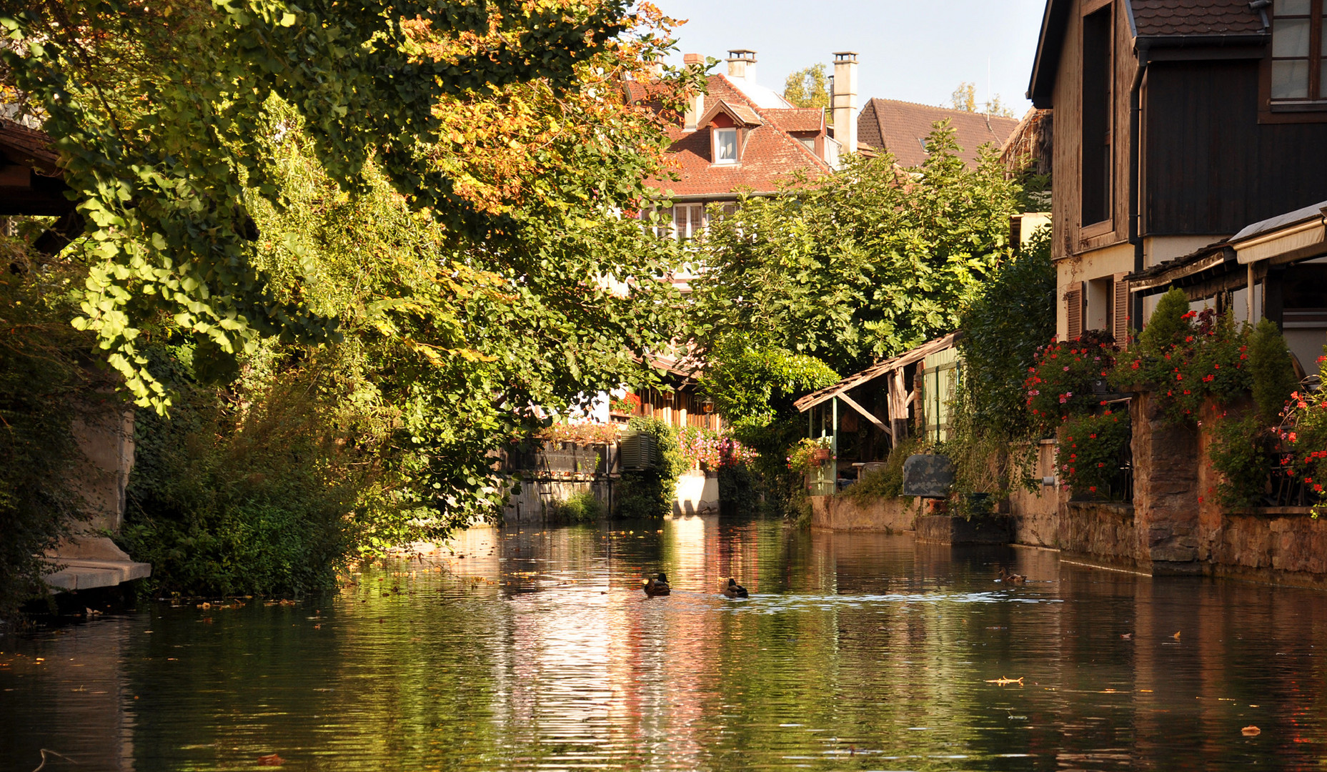 La Petit Venice in Colmar