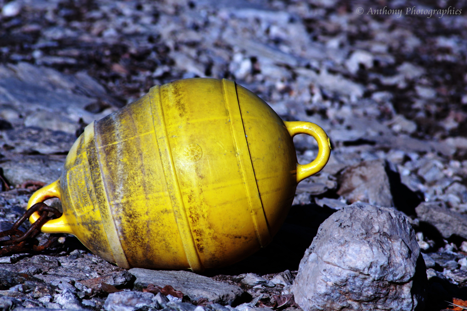 LA PETITE BOUEE JAUNE