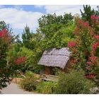 la petite cabane