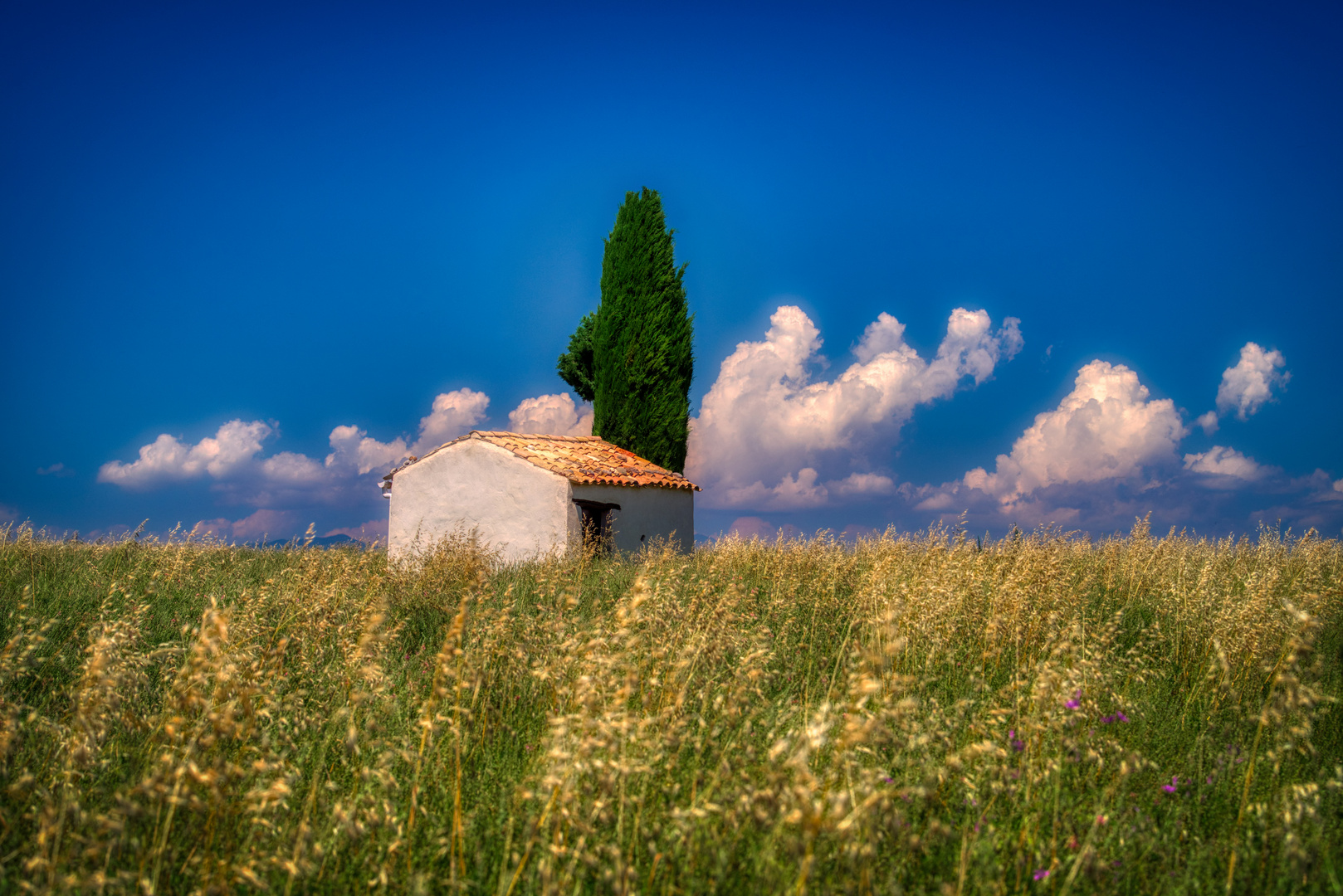 La petite cabane sur le terrain