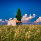 La petite cabane sur le terrain