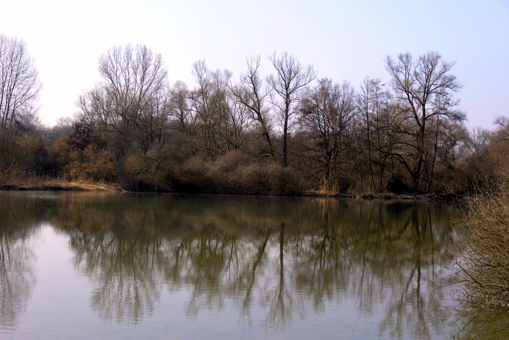 La Petite Camargue Alcacienne