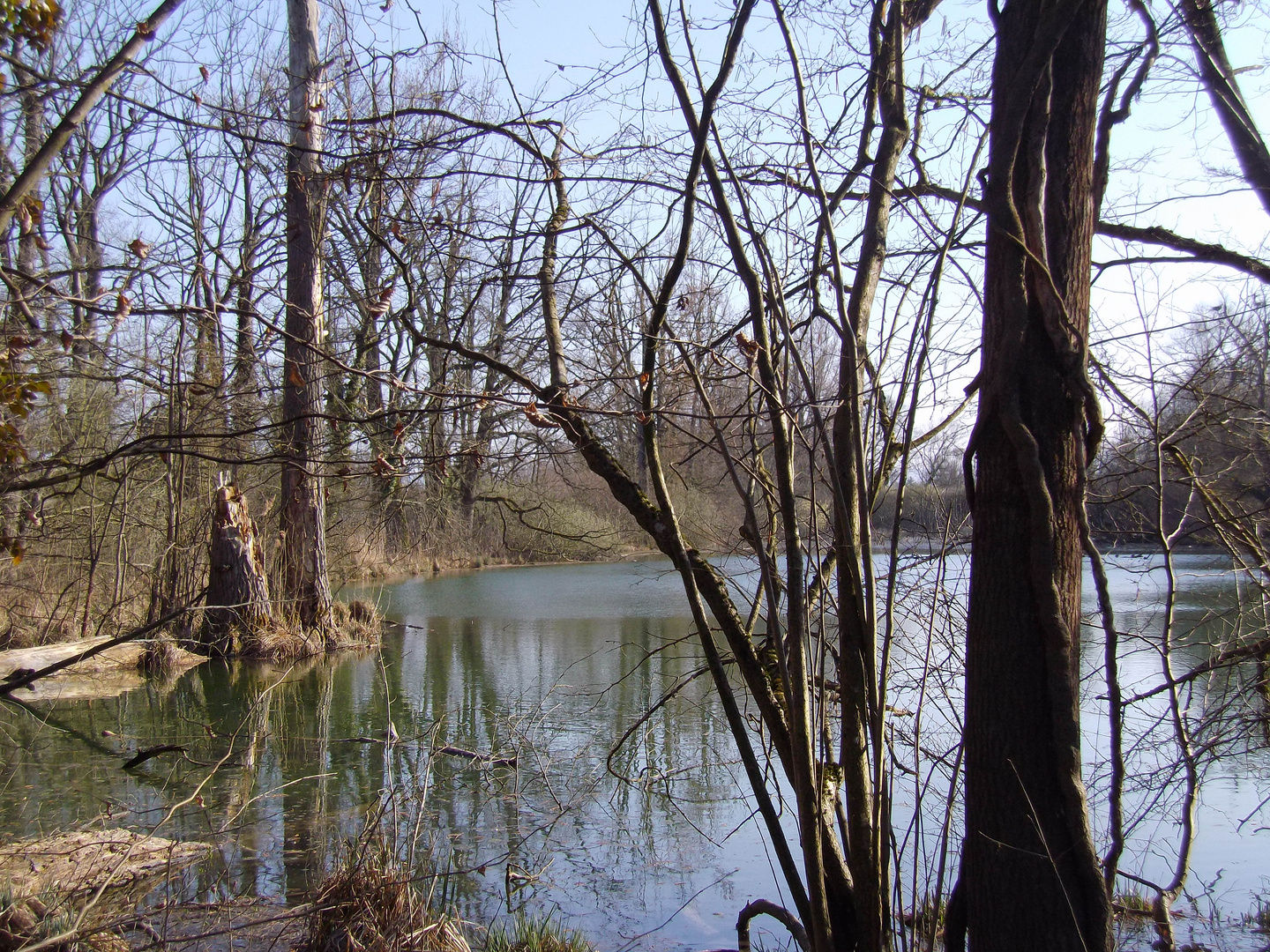 La Petite Camargue bei St. Louis / Basel (II)