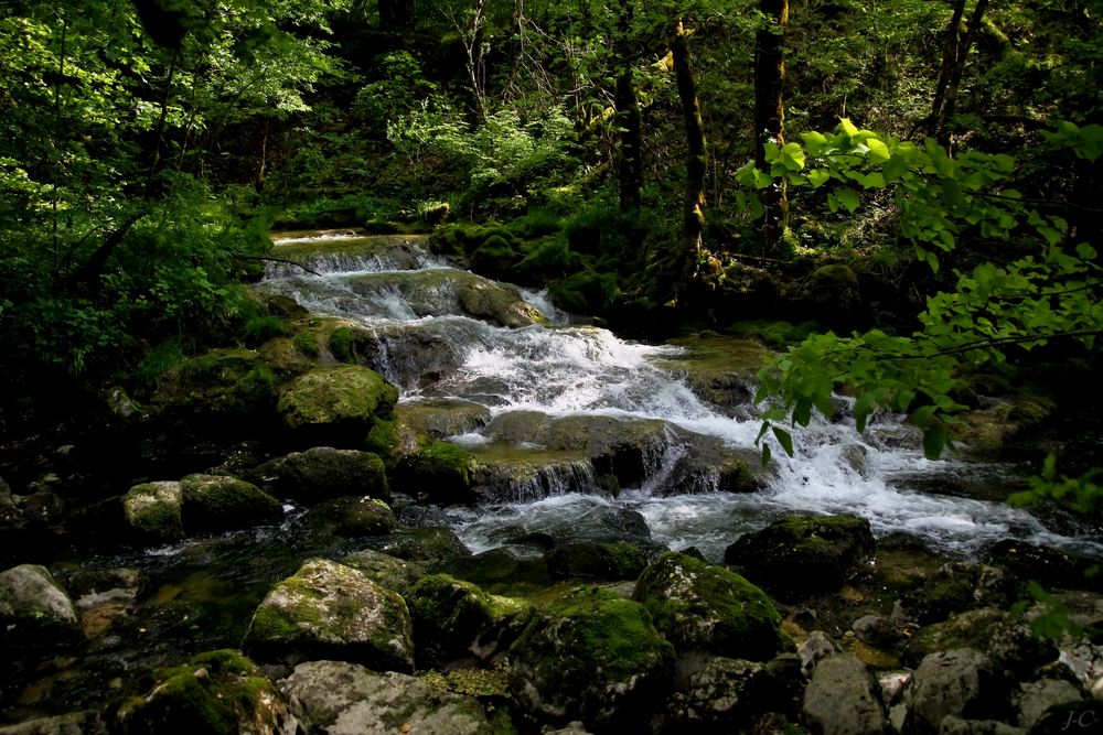 " La petite cascade ."