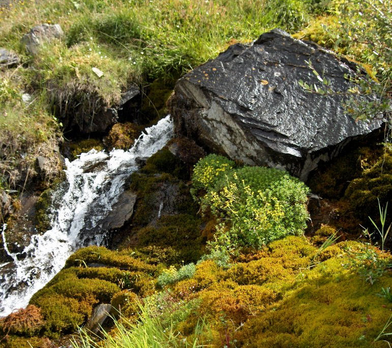 la petite cascade après la pluie