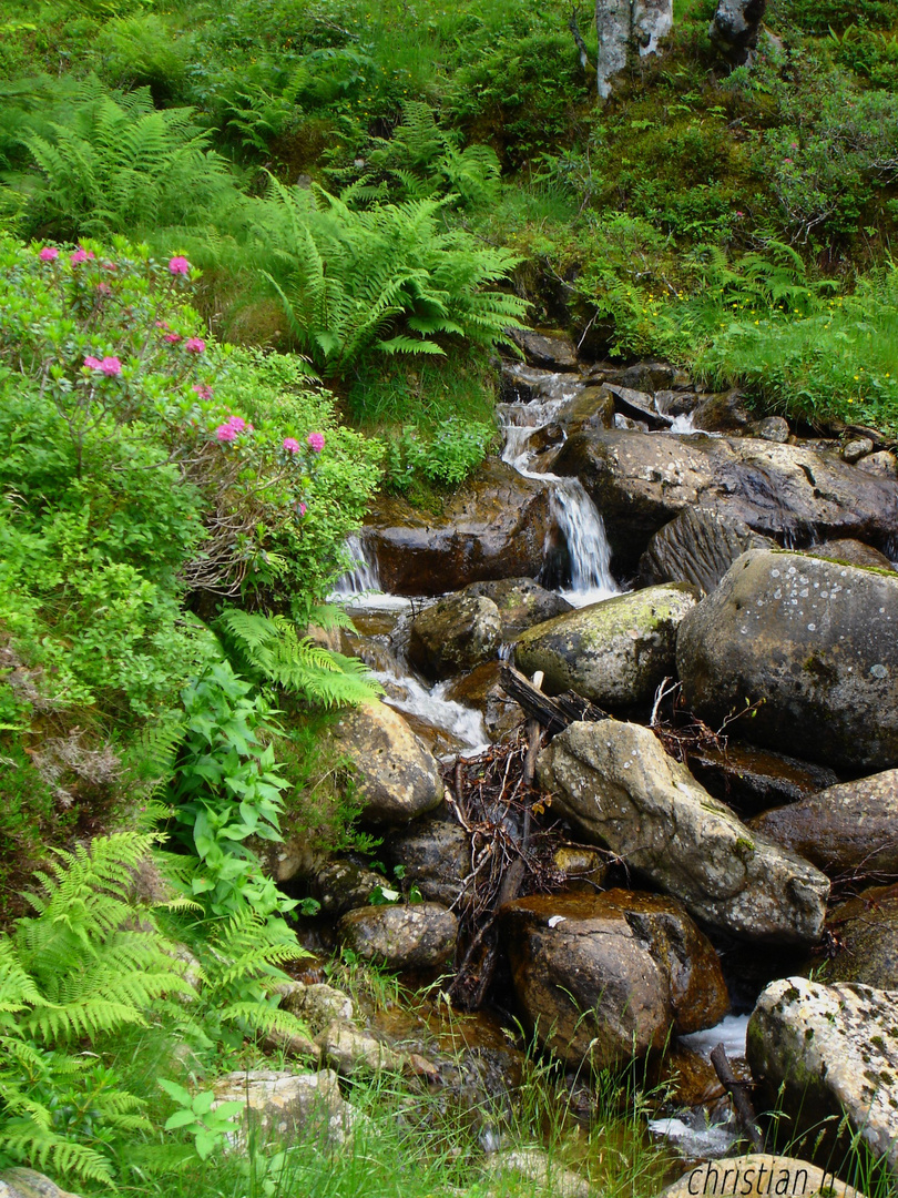 la petite cascade (ARIEGES)