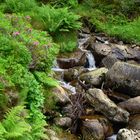 la petite cascade (ARIEGES)