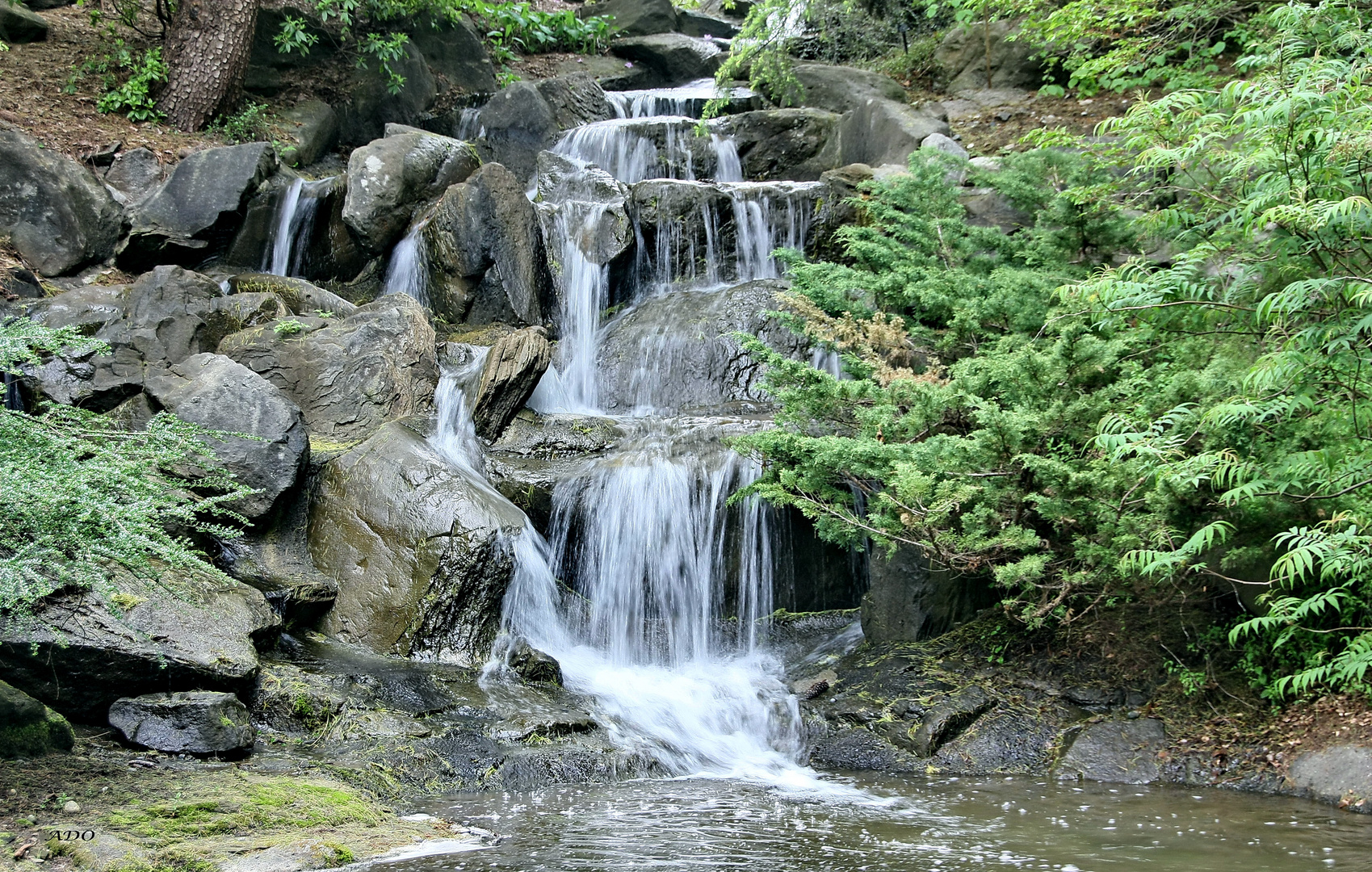 la petite cascade 