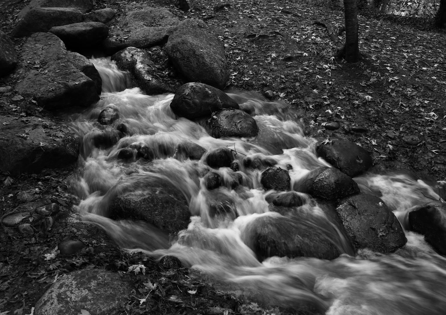 la petite cascade !