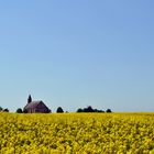 La petite église seule au milieu des champs.