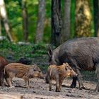 La petite famille.