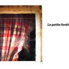 La petite fenetre