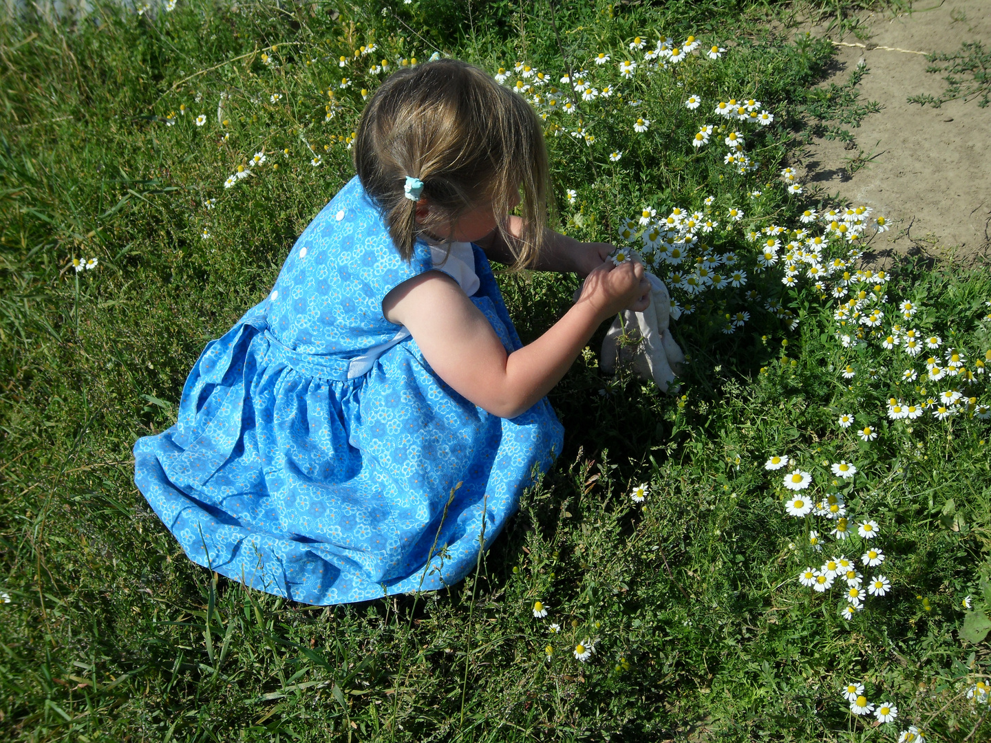 la petite fille aux fleurs