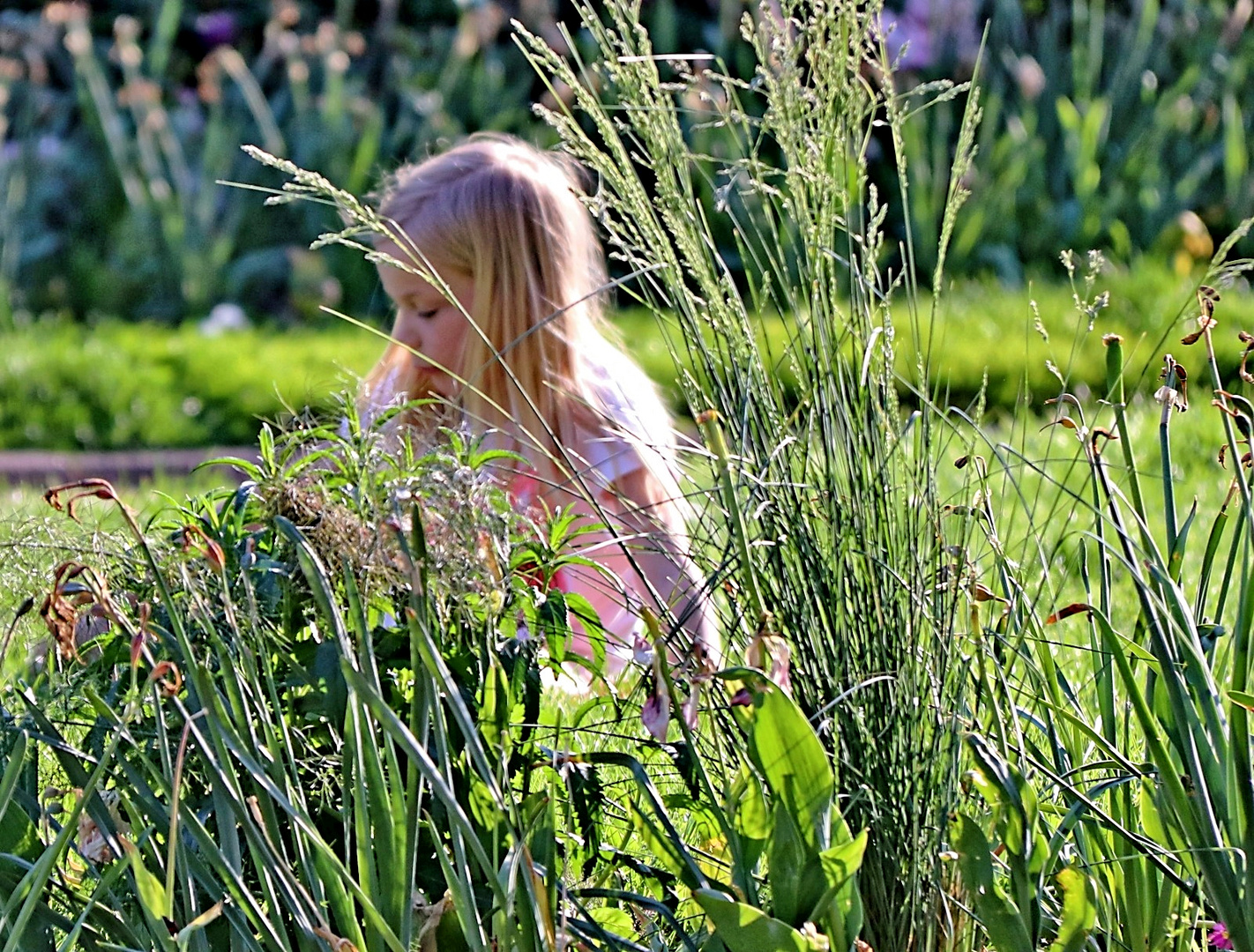 La petite fille dans l'herbe