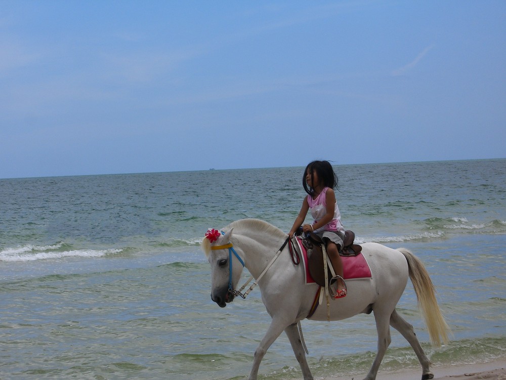 La petite fille et le cheval