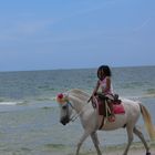 La petite fille et le cheval