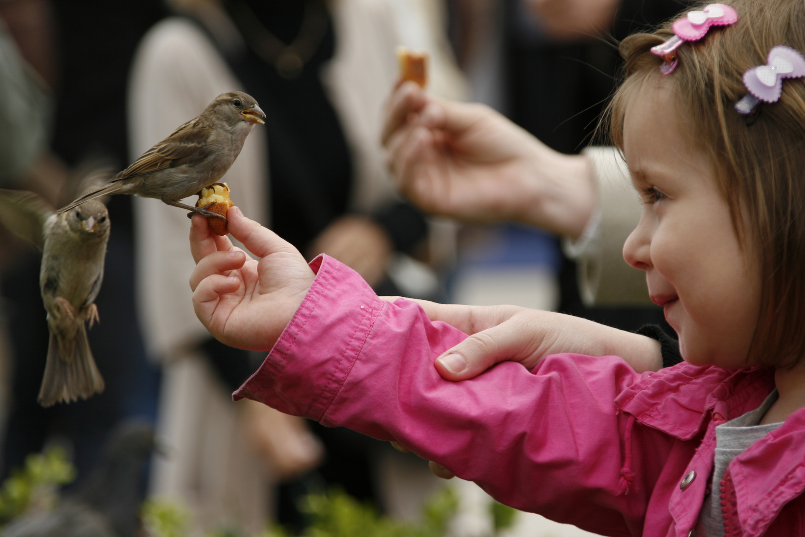 La petite fille et les oiseaux.