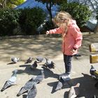 La petite fille et les pigeons 