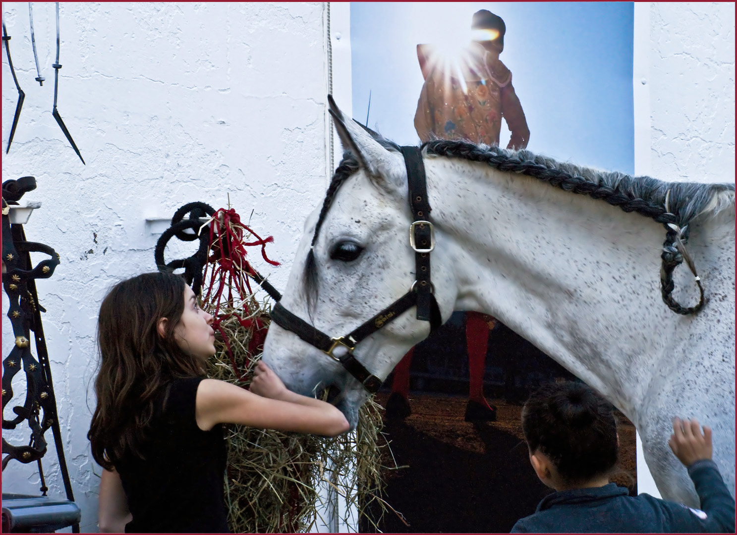 La petite fille qui murmurait à l’oreille des chevaux