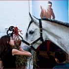 La petite fille qui murmurait à l’oreille des chevaux