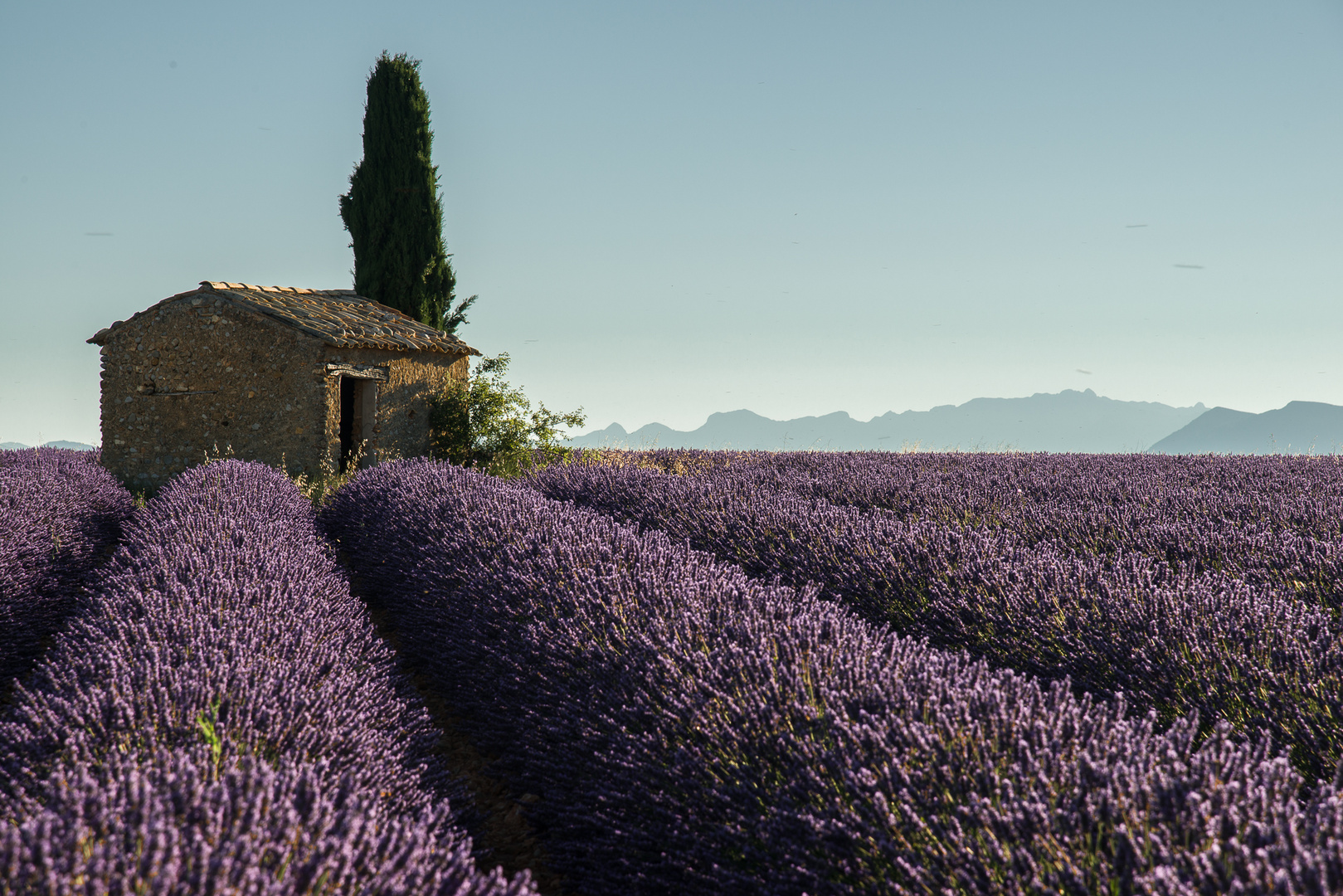 La petite maison .......