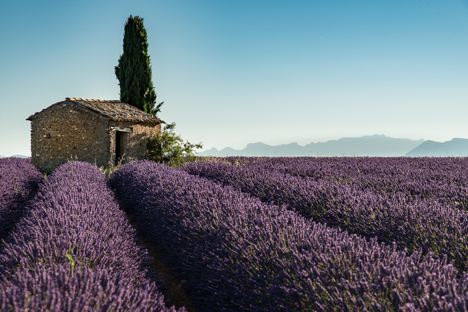 LA PETITE MAISON ............