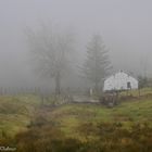 La petite maison. 