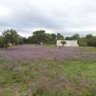 La petite maison blanche inaccessible