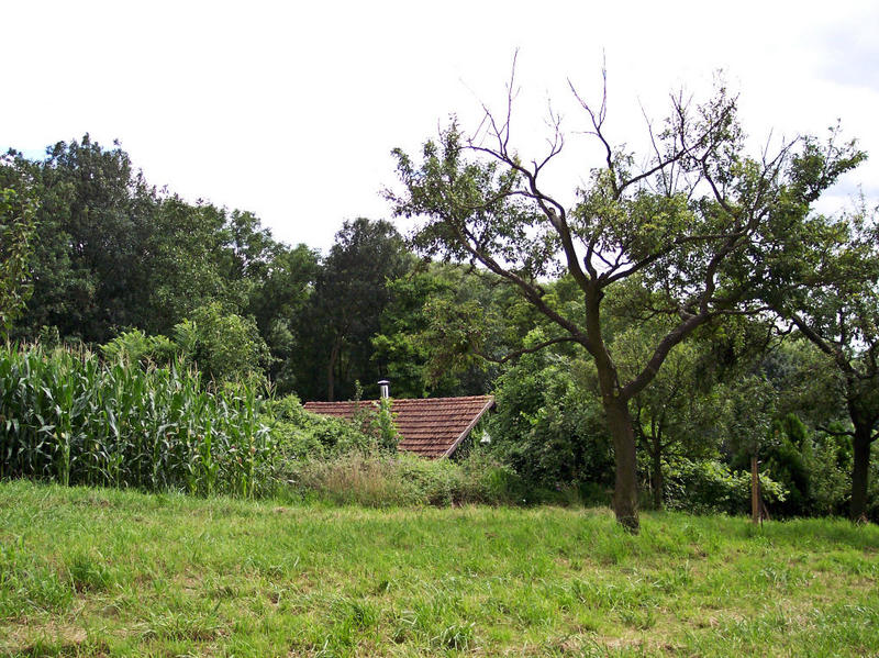 La petite maison dans la prairie