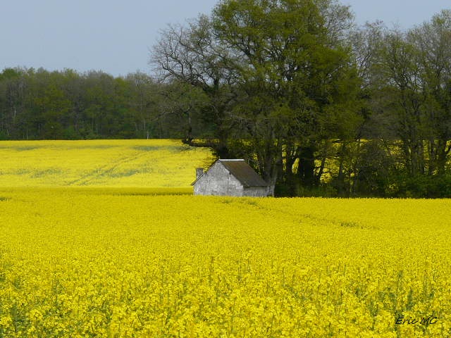 la petite maison dans la prairie