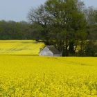 la petite maison dans la prairie