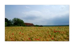 La petite maison dans la prairie