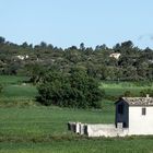 La petite maison dans la prairie 