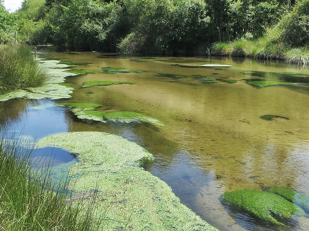 la petite rivière !