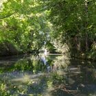 La Petite Venise