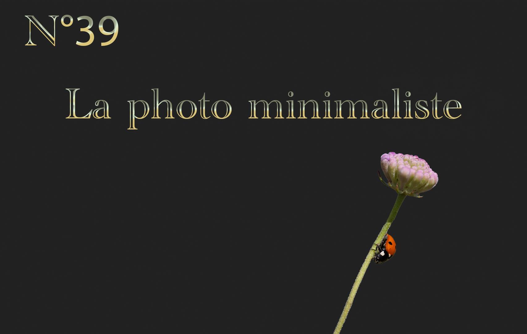 La photo minimaliste 