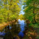 La photographie est le jeu de lumière et de couleur