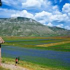 La piana di Castelluccio