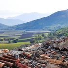 La Piana di Navelli, zona di zafferano