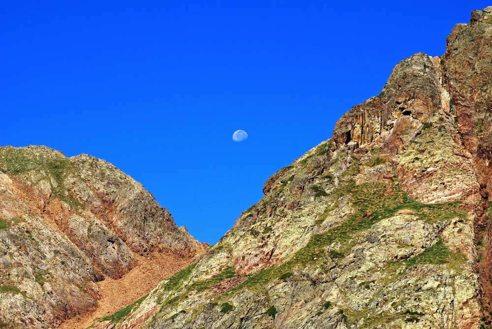 La pica i la luna