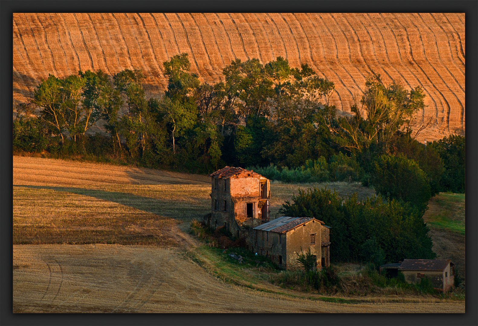 La piccola cascina