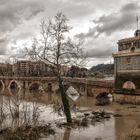 La piena del Tevere...Ponte Milvio..