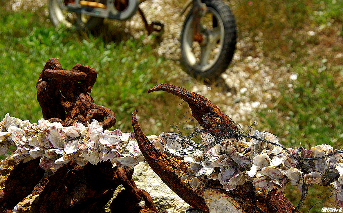 La pince à vélo...