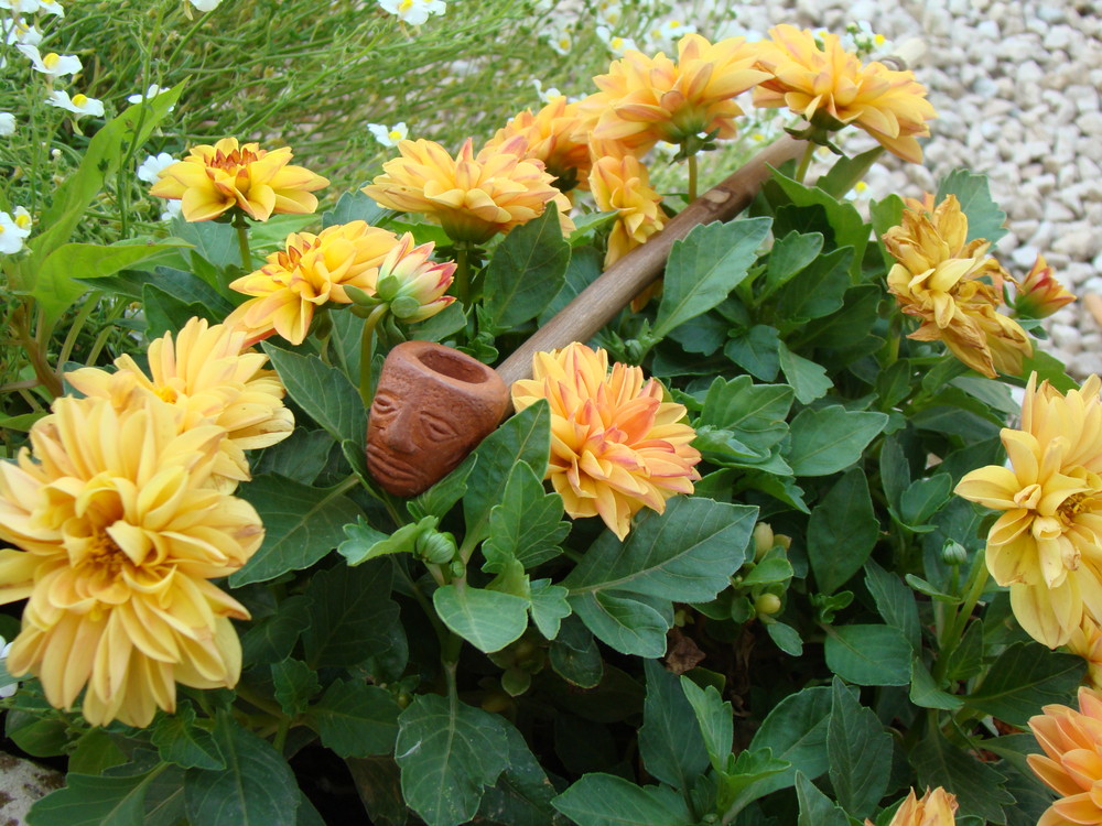 La Pipa sarda in terracotta di Gianni Carta (Teulada)