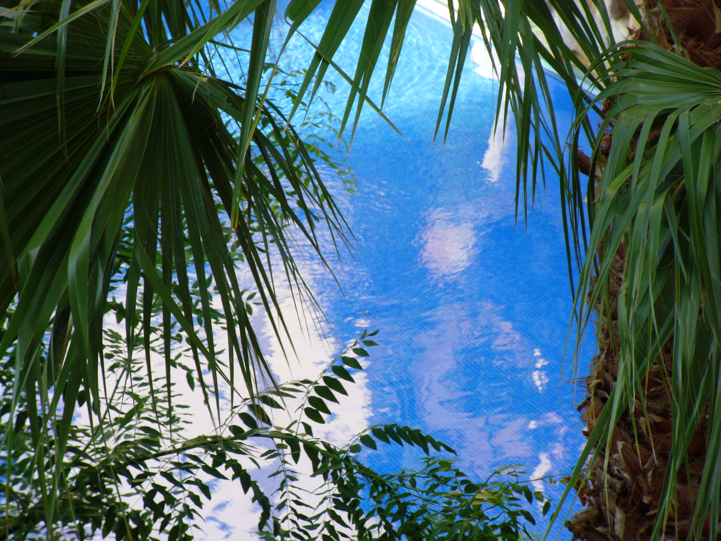 La piscina de mi casa