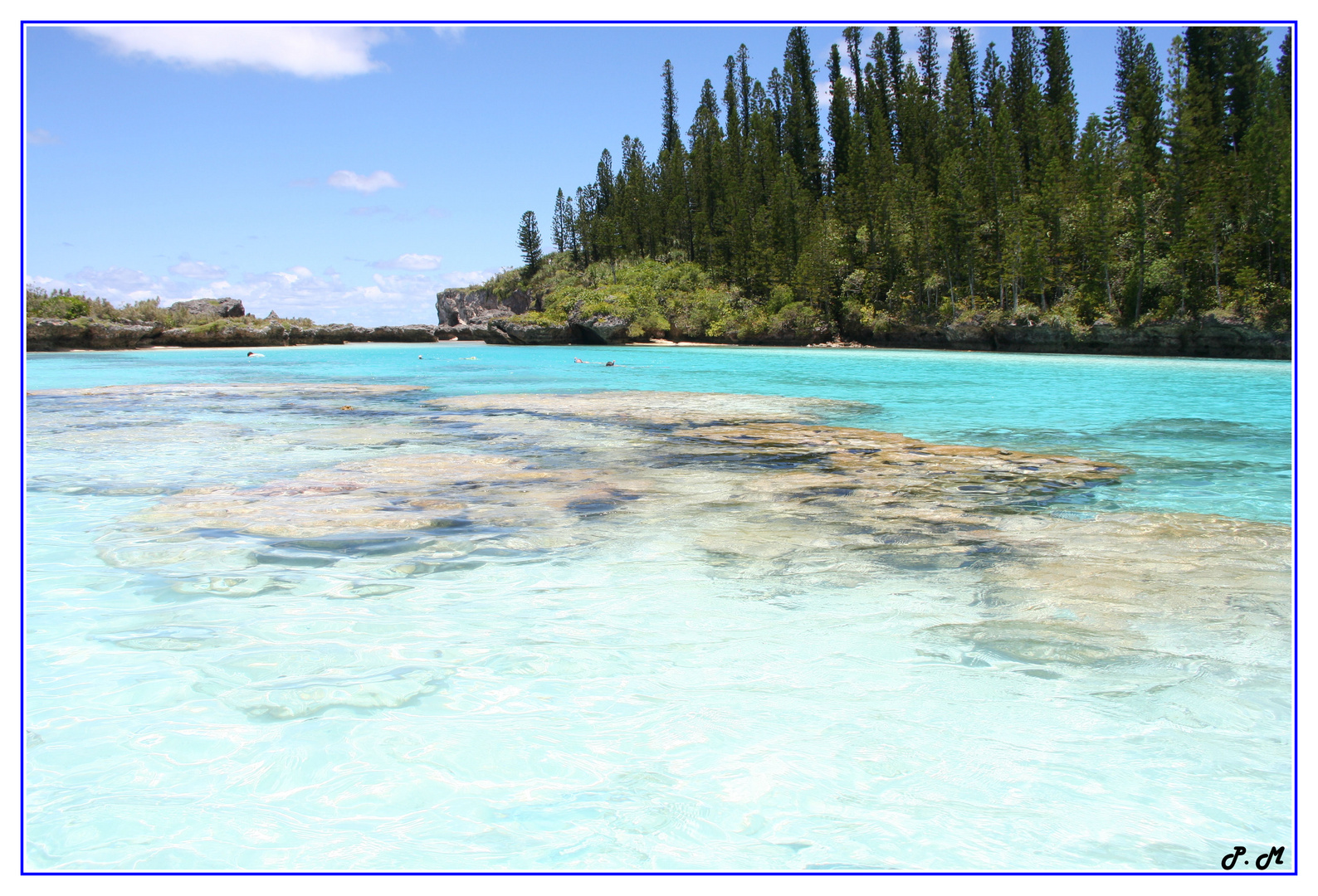 la piscine naturelle de l'île des pins