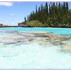 la piscine naturelle de l'île des pins