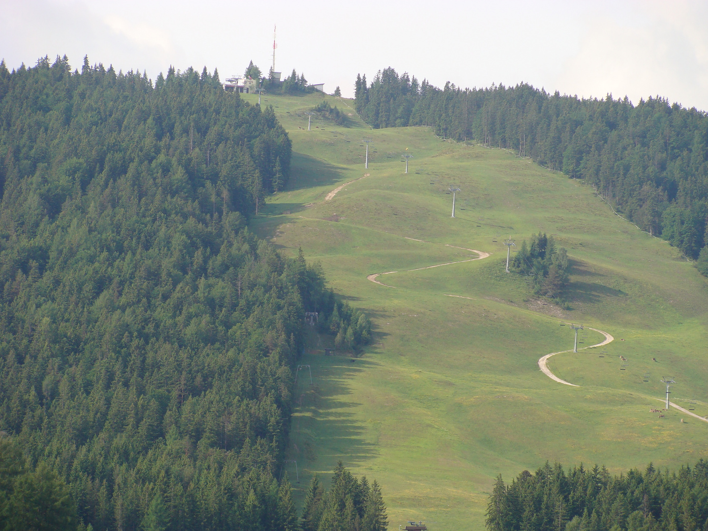 LA PISTA SIN NIEVE