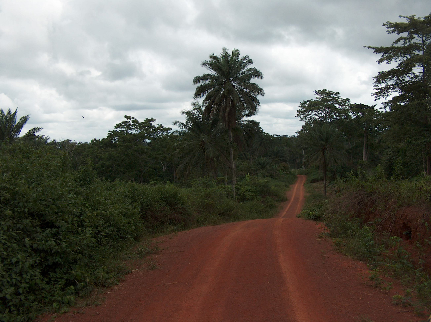 La piste rouge.